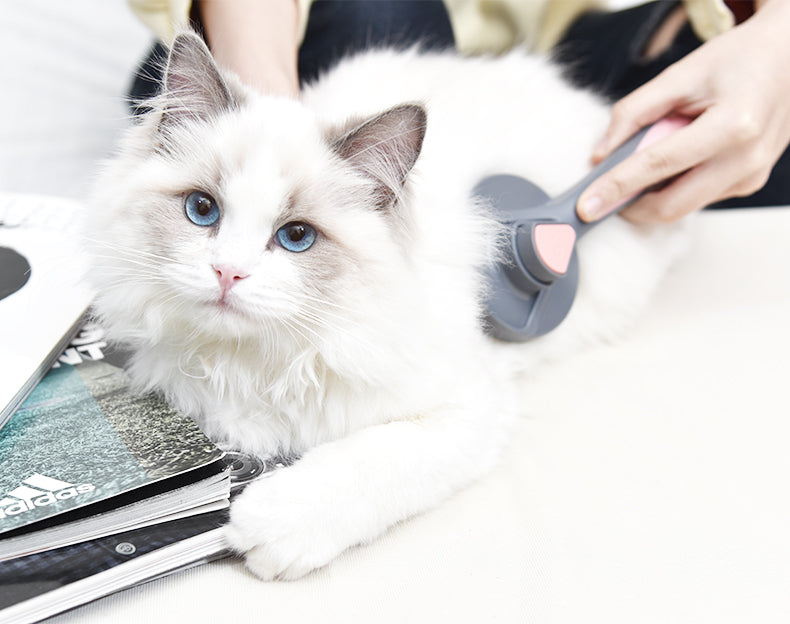 Escova para remoção de pelos e massageadora autolimpante - gatos e cães