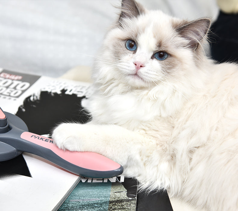 Escova para remoção de pelos e massageadora autolimpante - gatos e cães