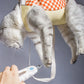 Bolsa para carregar gatos e coleira peitoral - duas funções