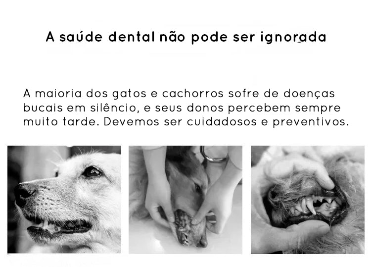 Escova de cabeça redonda para pets - cerdas super macias