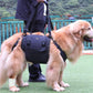 Suporte para cães idosos ou em reabilitação - portátil