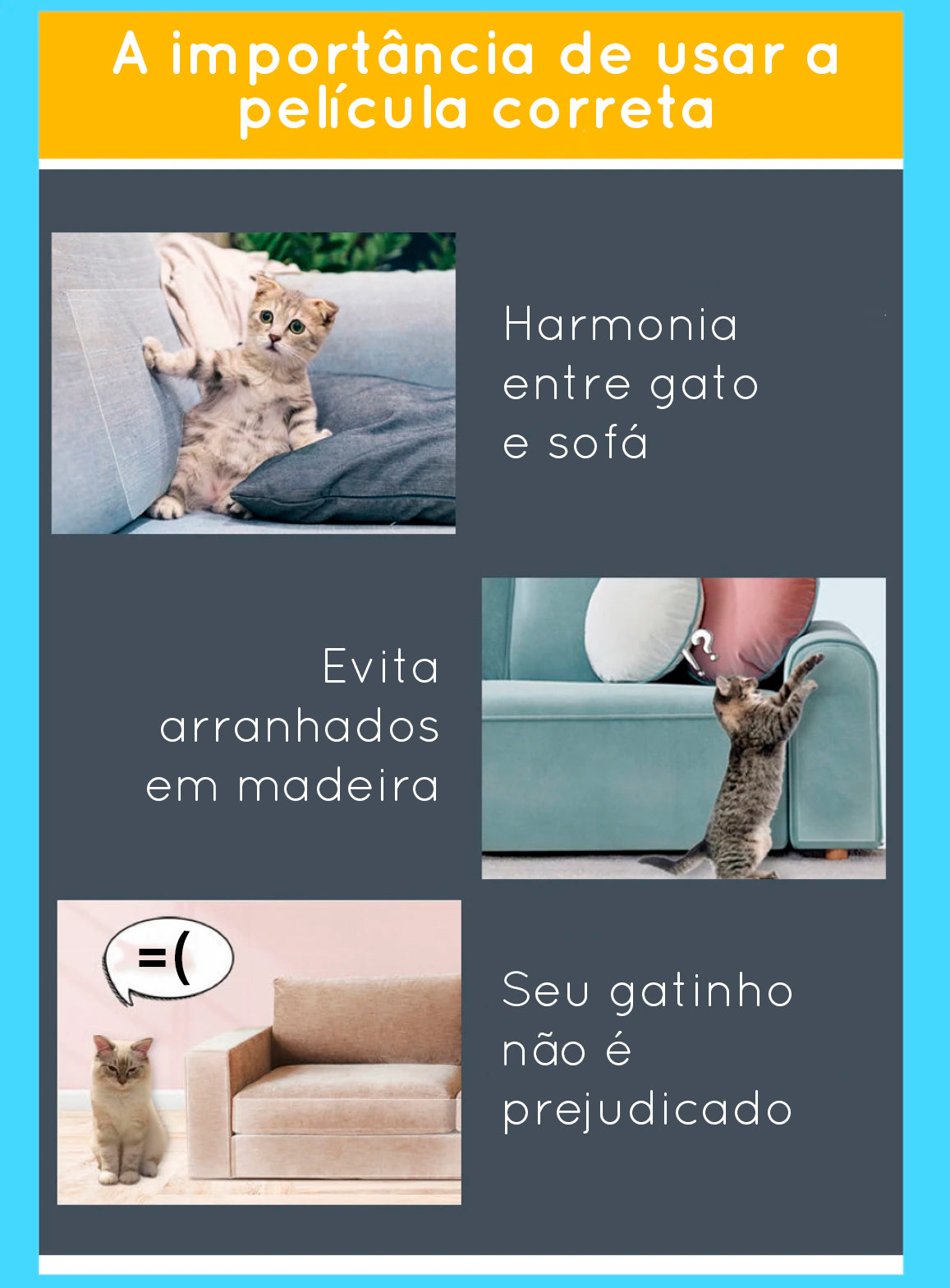 Película autoadesiva contra arranhões de gatos - para toda a casa