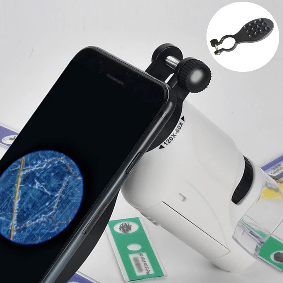 Microscópio portátil com LED 60-120x para crianças com espécimes